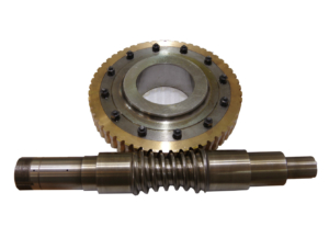 Double Enveloping Worm Gear manufacturer